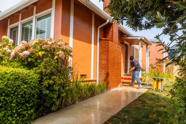 Best Local Pressure Washing Services  in Reeds Spring, MO