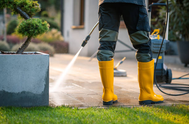 Best Pressure Washing Brick  in Reeds Spring, MO